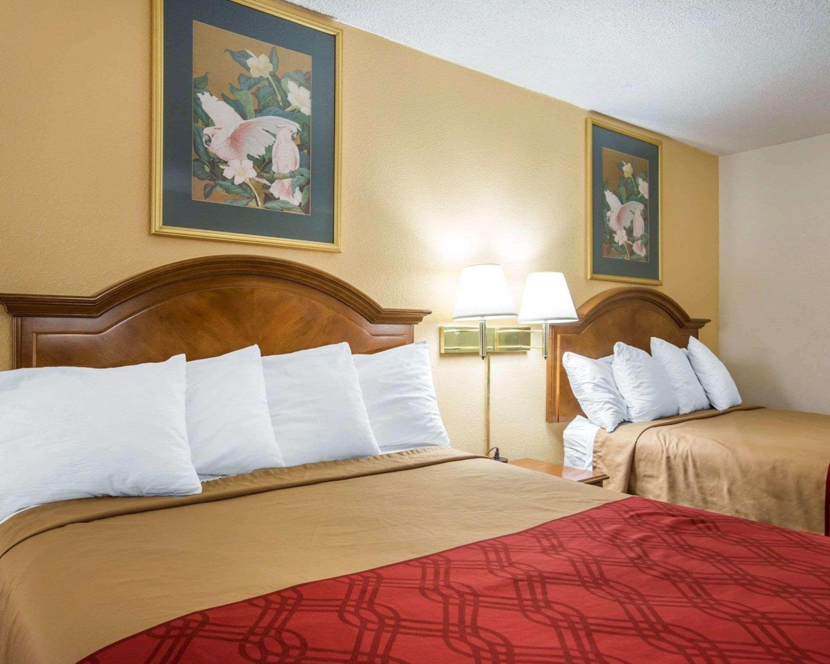 Hotel Econo Inn&suites