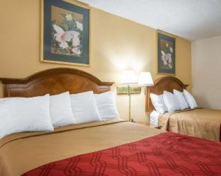 Hotel Econo Inn&suites 2*